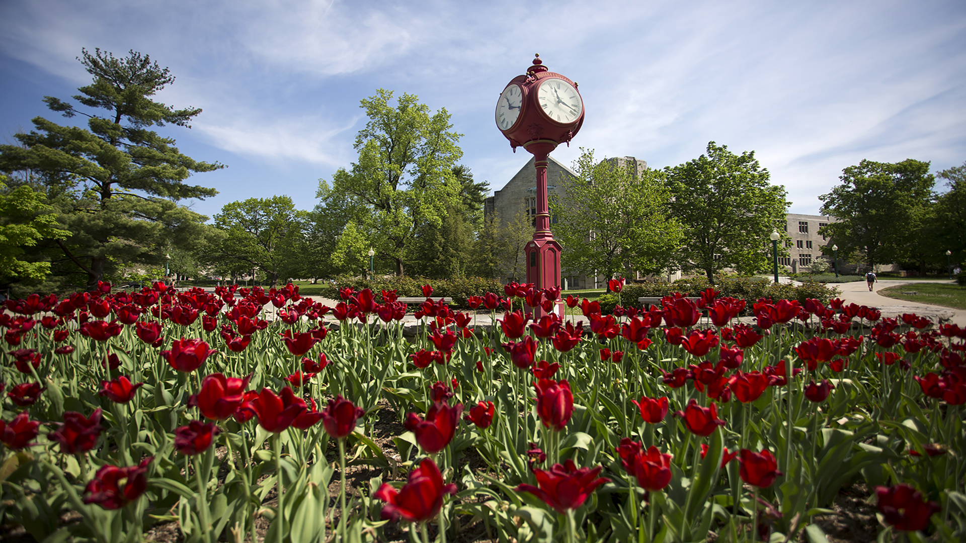 Red clock with spring tulips on Indiana University Bloomington campus